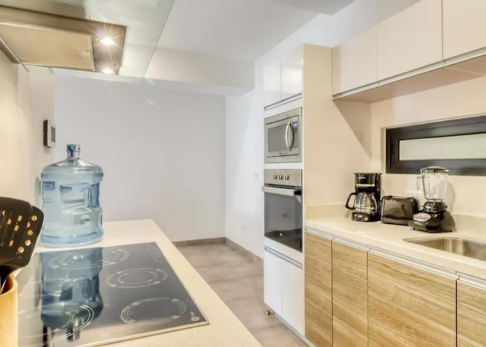 Icono Playa Condos, B307 Apartamento *